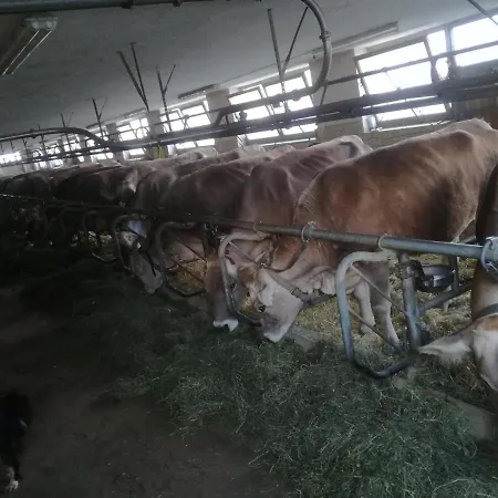 Oberhuben Apartment Fuegenberg