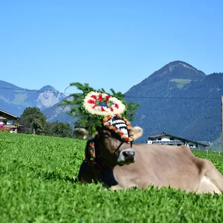 Oberhuben Apartmán Fuegenberg