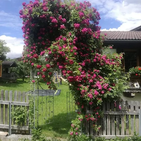 Oberhuben 菲根贝格