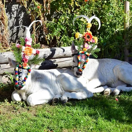 Farm stay Oberhuben