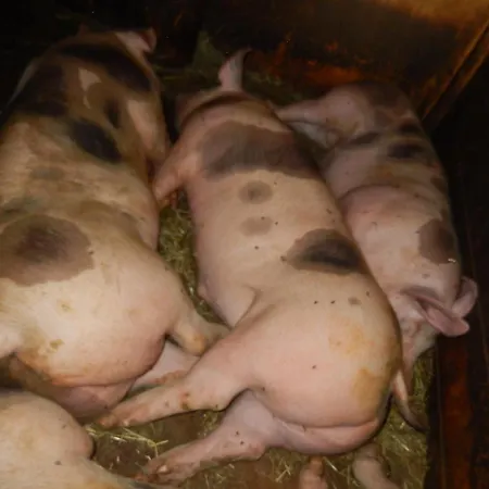 Oberhuben * Fuegenberg