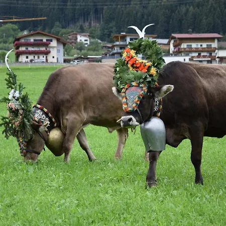 Apartmán Oberhuben
